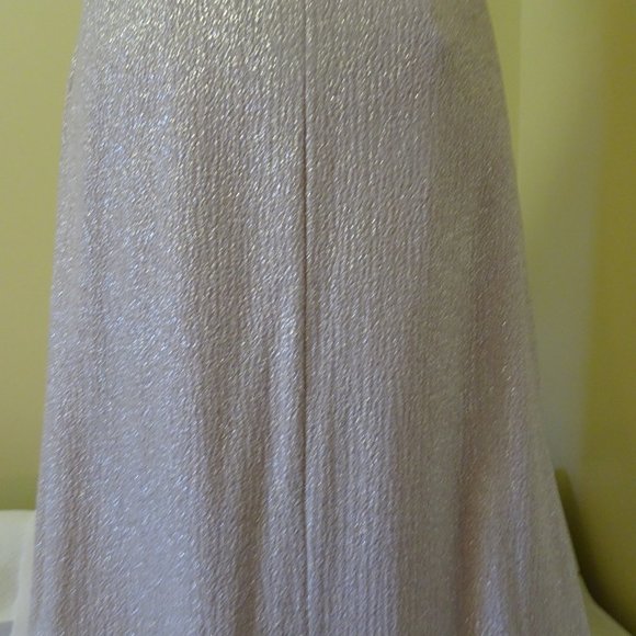 Ladies Size 14 Champagne long Prom Dress-NEW - Picture 4 of 8